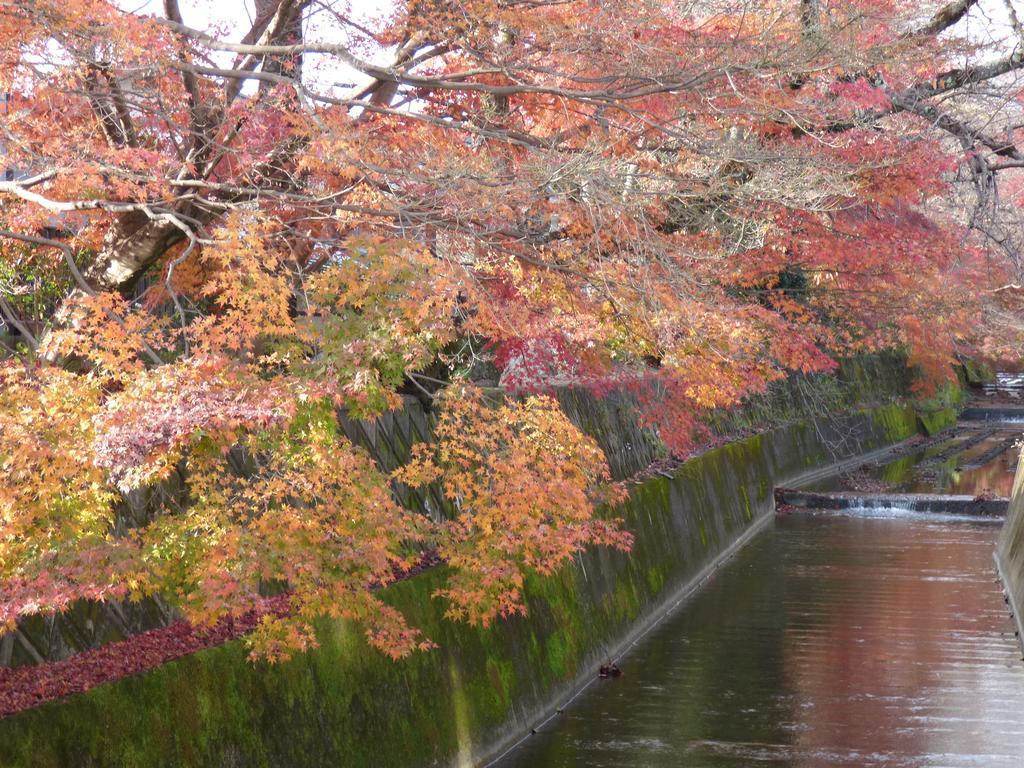 SAIZEN Matsumuro stay Kyoto Eksteriør billede