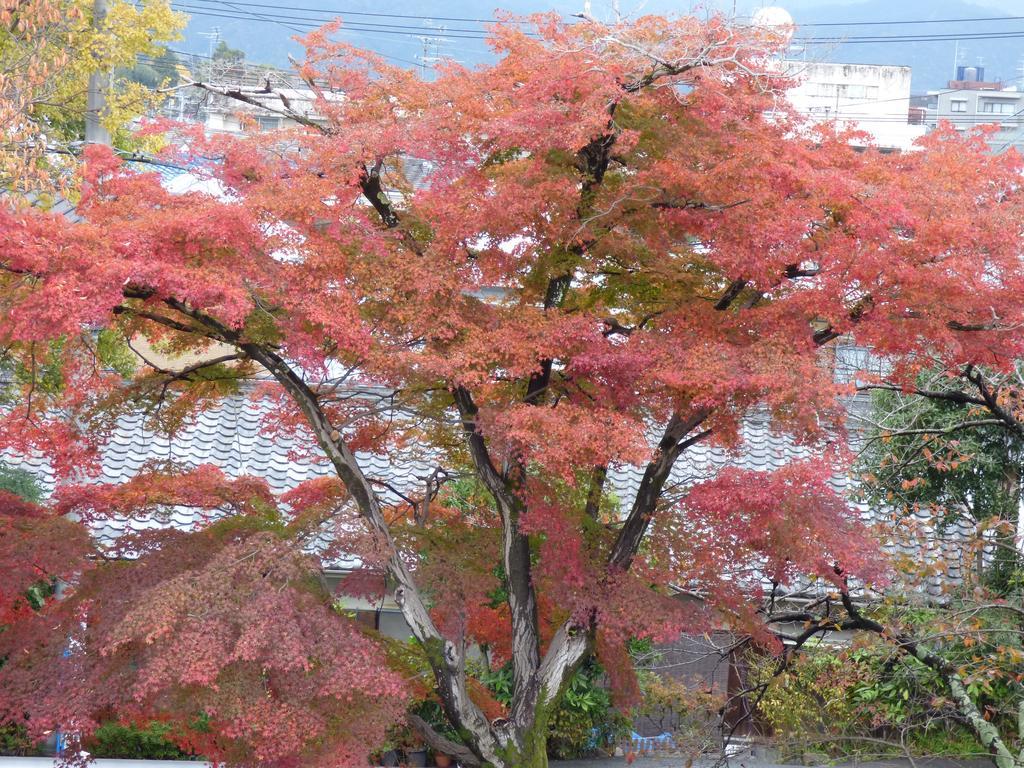 SAIZEN Matsumuro stay Kyoto Eksteriør billede