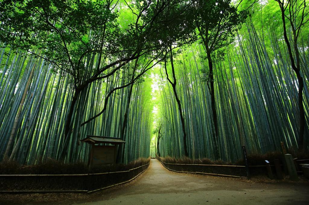 SAIZEN Matsumuro stay Kyoto Eksteriør billede