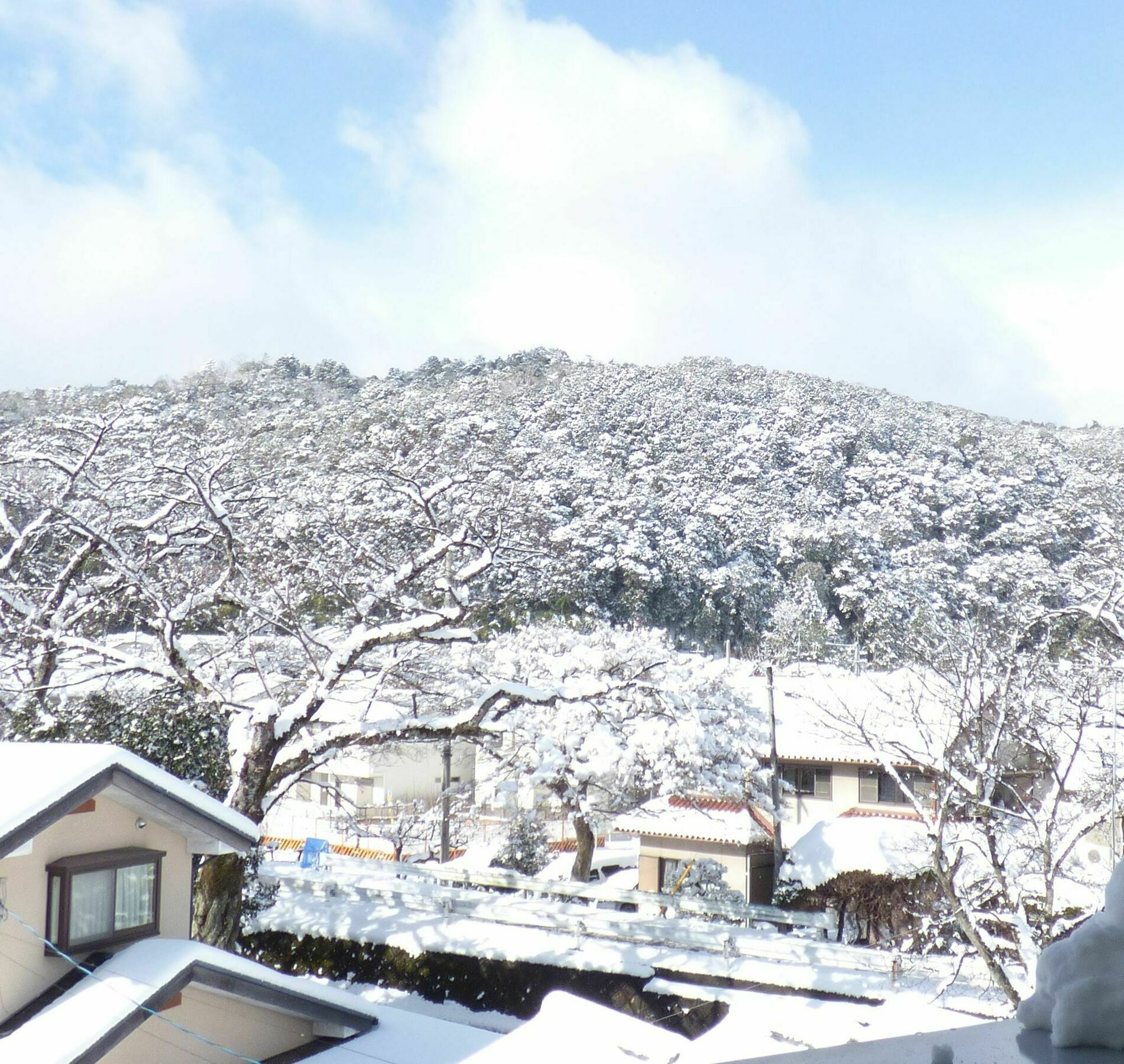 SAIZEN Matsumuro stay Kyoto Eksteriør billede
